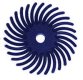1" RADIAL POLISHING DISCS,BLUE 100 grit 1" RADIAL POLISHING DISCS,BLUE 100 grit