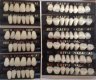 POLYMER RESIN DENTURE TEETH 2 layers 12 cards 3 Sets 84 teeth size 3 color a1 POLYMER RESIN DENTURE TEETH 2 layers 12 cards 3 Sets 84 teeth size 3 color a1